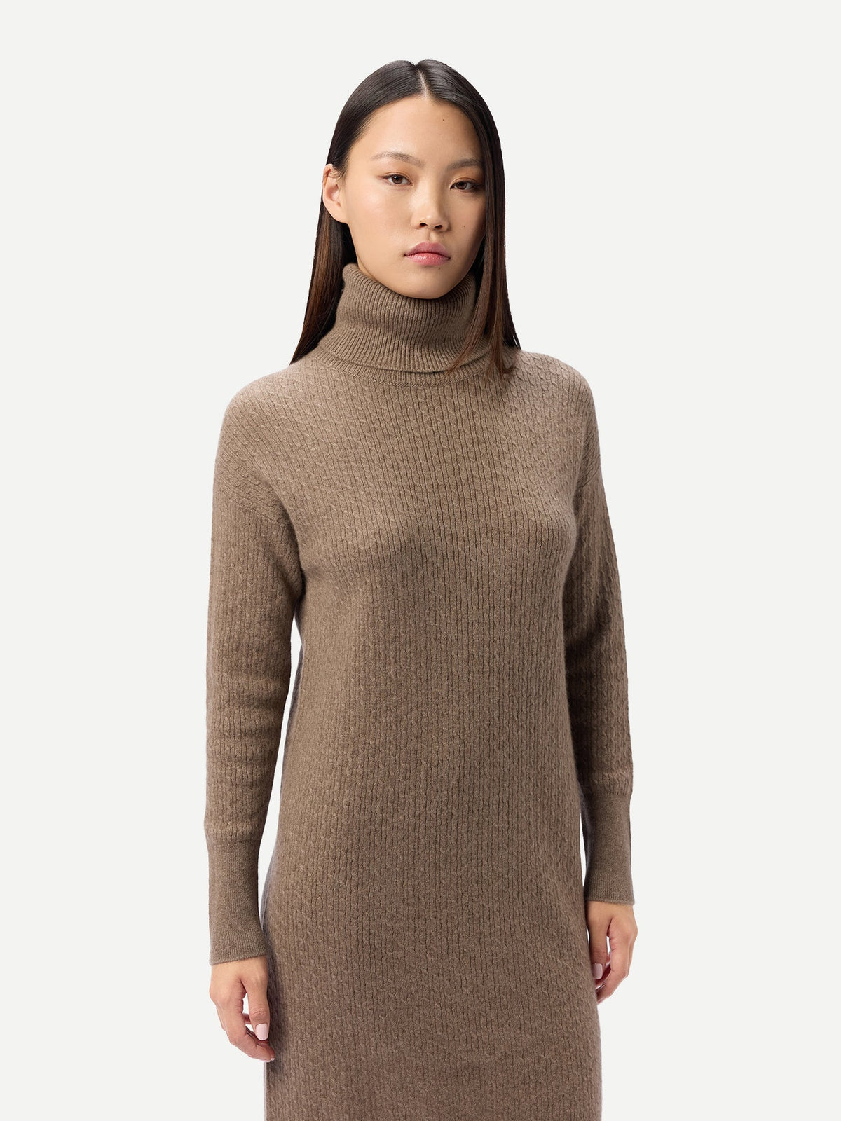 Natural Color Seamless Turtleneck Cashmere Dress — Taupe